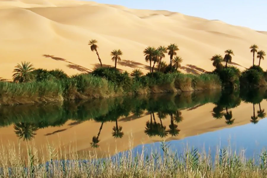 Private day tour to White Desert and Bahariya Oasis from Cairo