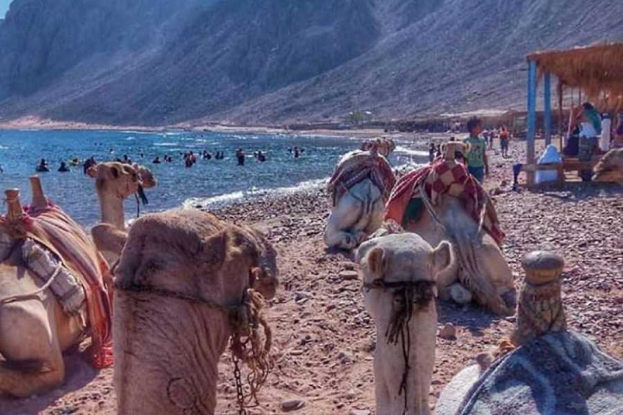 Day trip to dahab from sharm el sheikh 