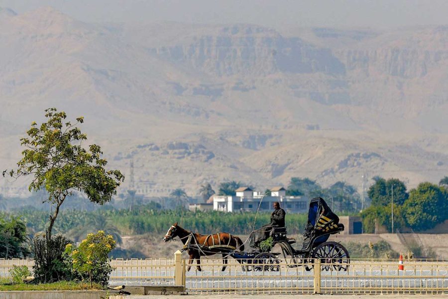 Private Aswan city tour by horse carriage