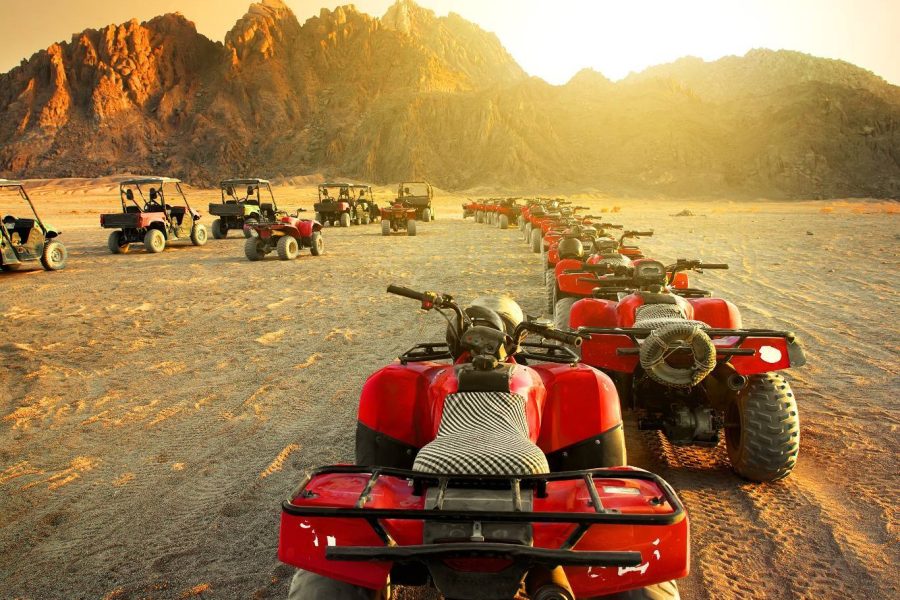 Sharm El Sheikh Safari Trips